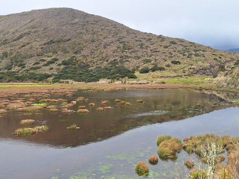 Montanas Colombianas-佩雷拉必去景点