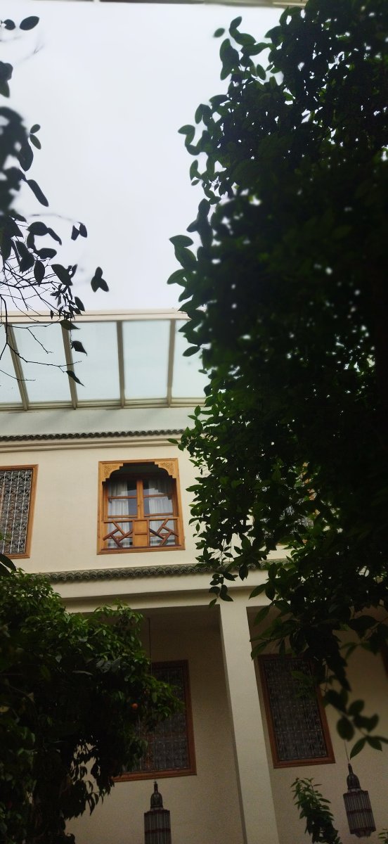 阿尔基拉非斯饭店-官方