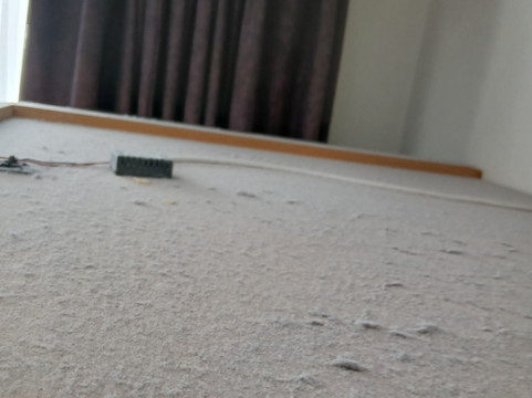 布里斯托尔未来旅馆主图