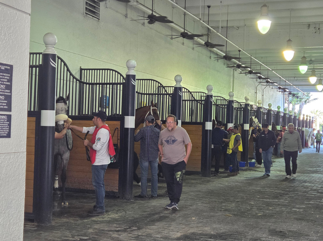 Gulfstream Park Racing and Casino-哈伦代尔海滩必去景点