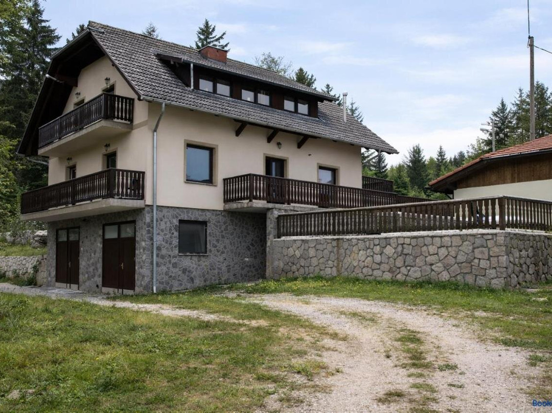 Ribnica na Pohorje酒店住宿-Tourist Farm Pacnik