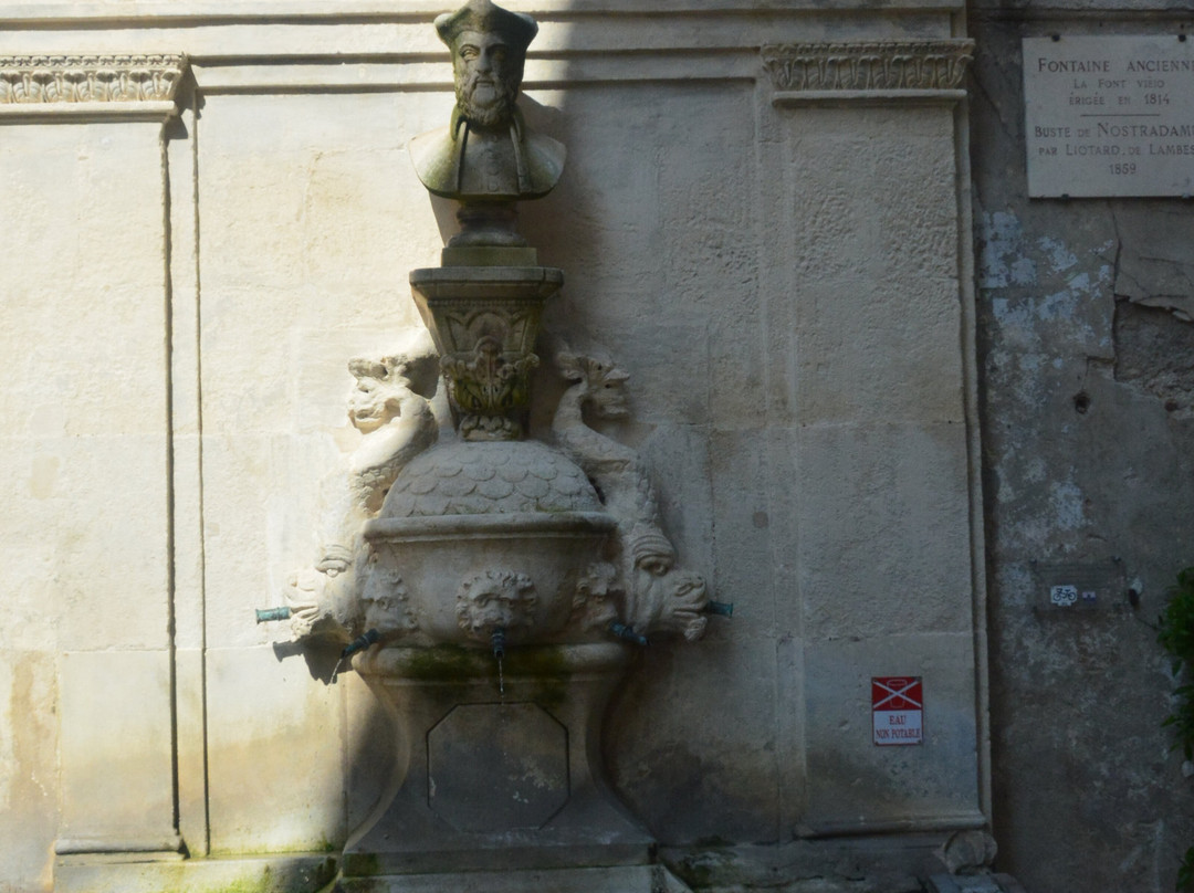 Fontaine Nostradamus-圣雷米必去景点
