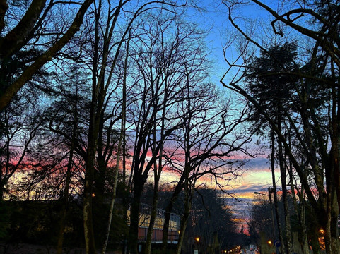 Parque do Fontelo-维塞乌必去景点