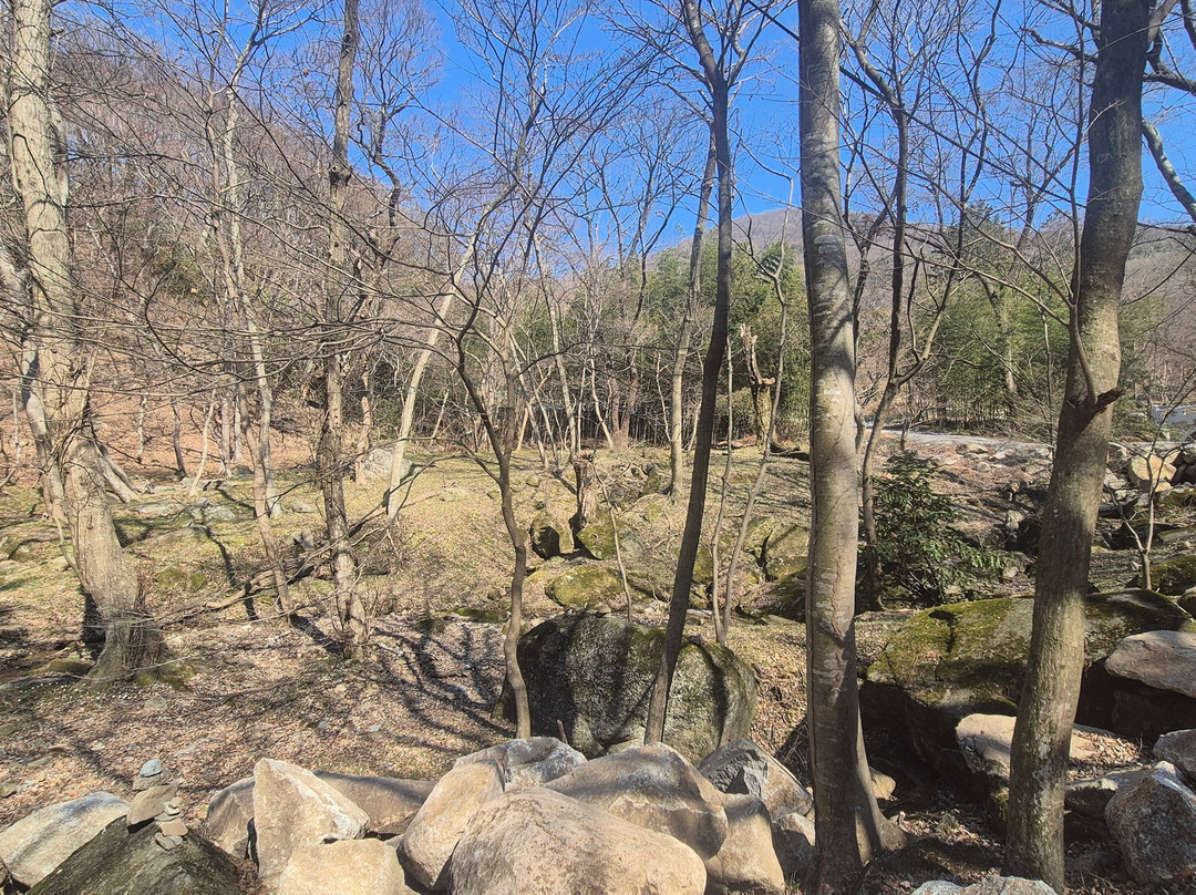 Gochang Munsusa Maple Tree Forest