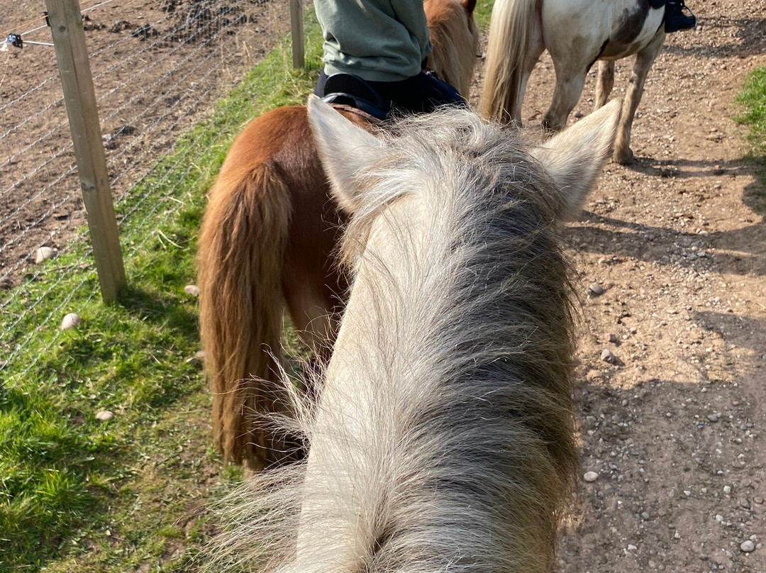 Cannock Chase Trekking Centre-Penkridge必去景点