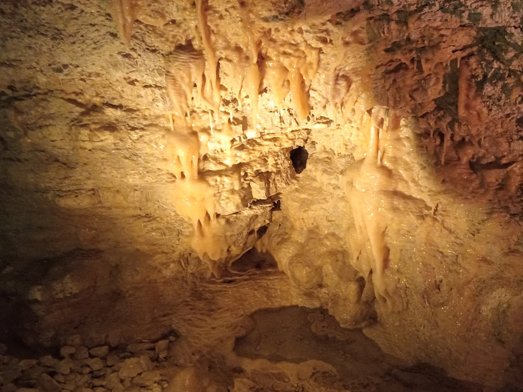 Maori Leap Cave-Kaikoura必去景点