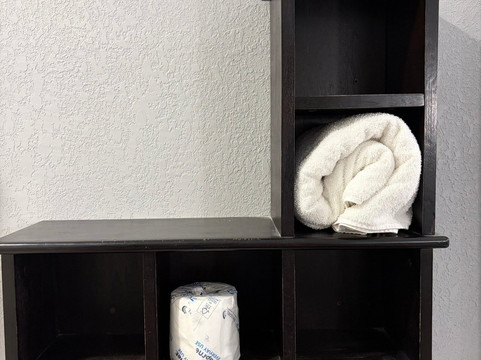 智选假日套房酒店纳奇兹南西主图