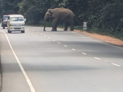 BH Lanka Tours-Kurunegala必去景点
