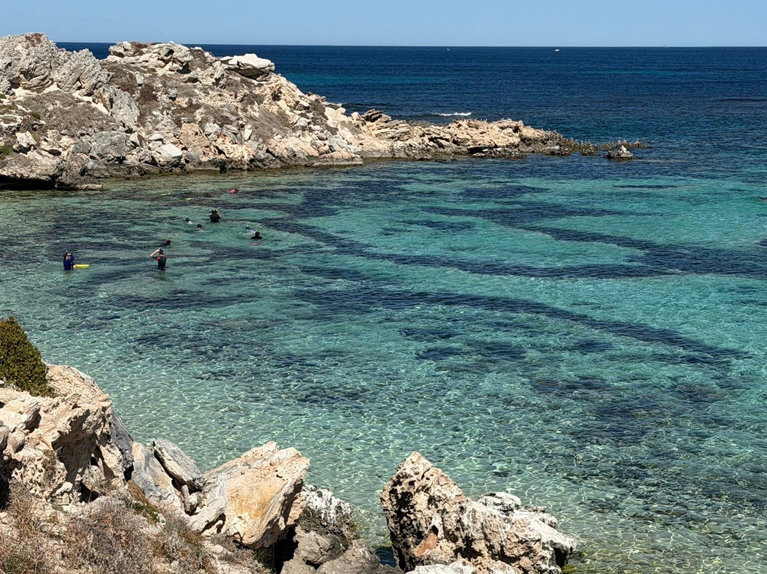 Rottnest Island Pedal and Flipper-罗特尼斯岛必去景点