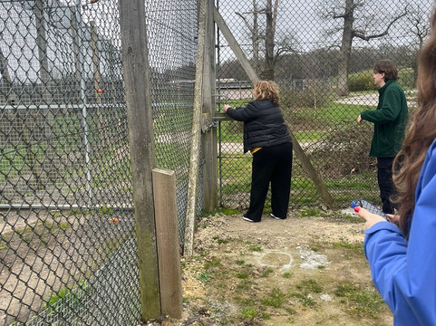 Woburn Safari Park-Woburn必去景点