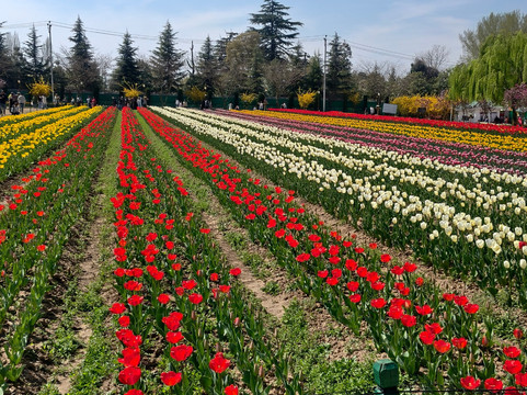 Himalayan walk Adventure-帕哈甘必去景点