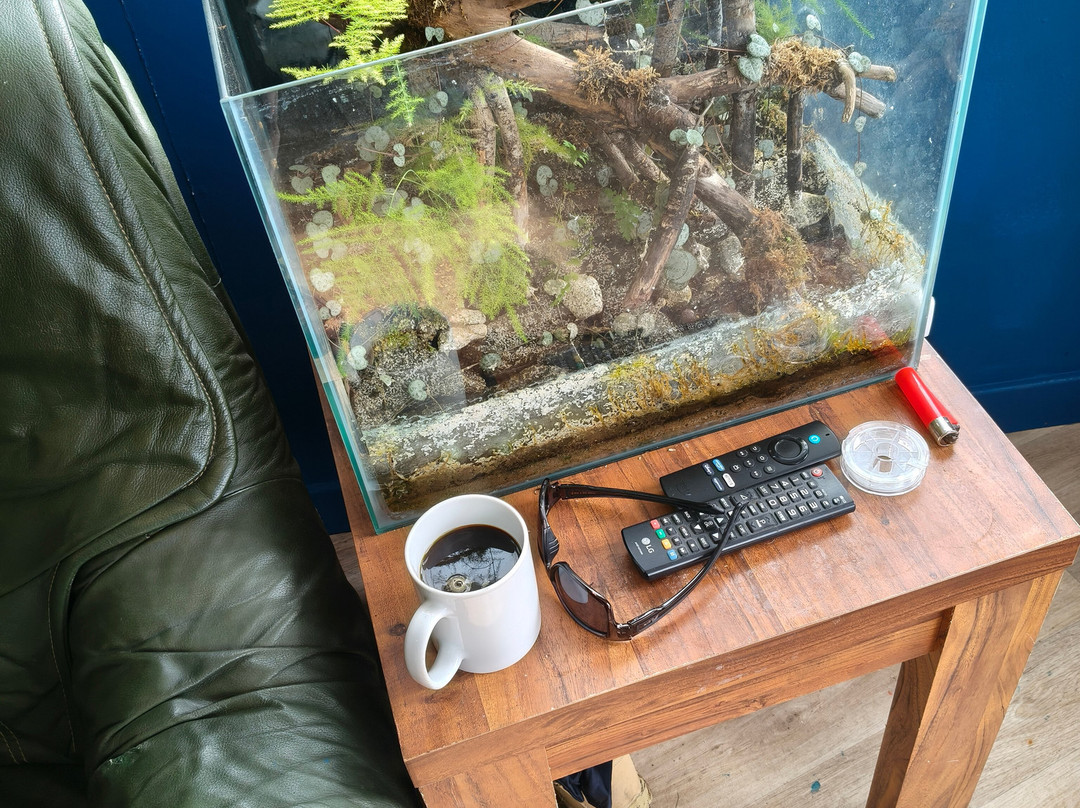 Kailzie Estate-皮布尔斯必去景点