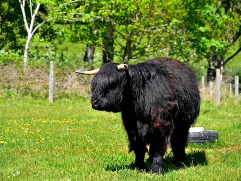 Caledonian Canal-因弗内斯必去景点