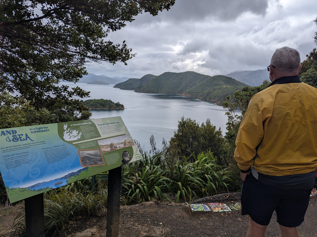 Wilderness Guides - Day Tours-皮克顿必去景点