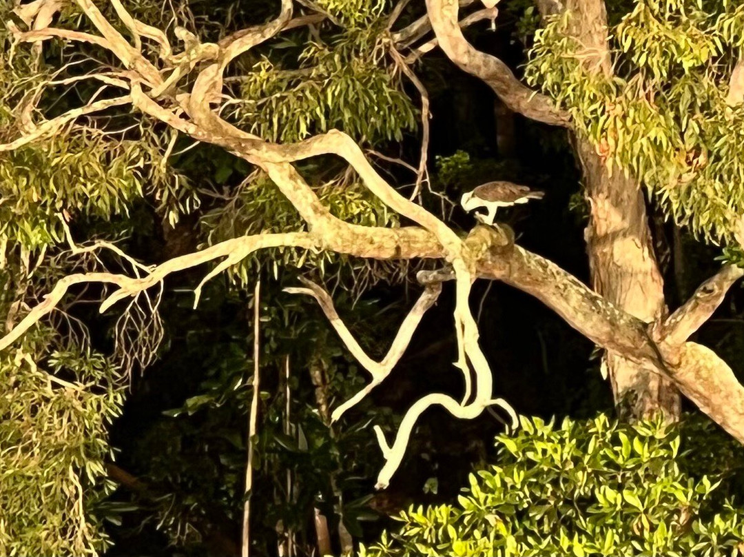 Noosa River & Canal Cruises-努萨维尔必去景点