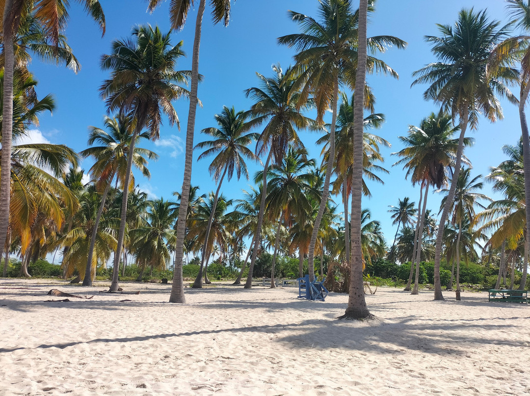 Italcruise-Bayahibe必去景点