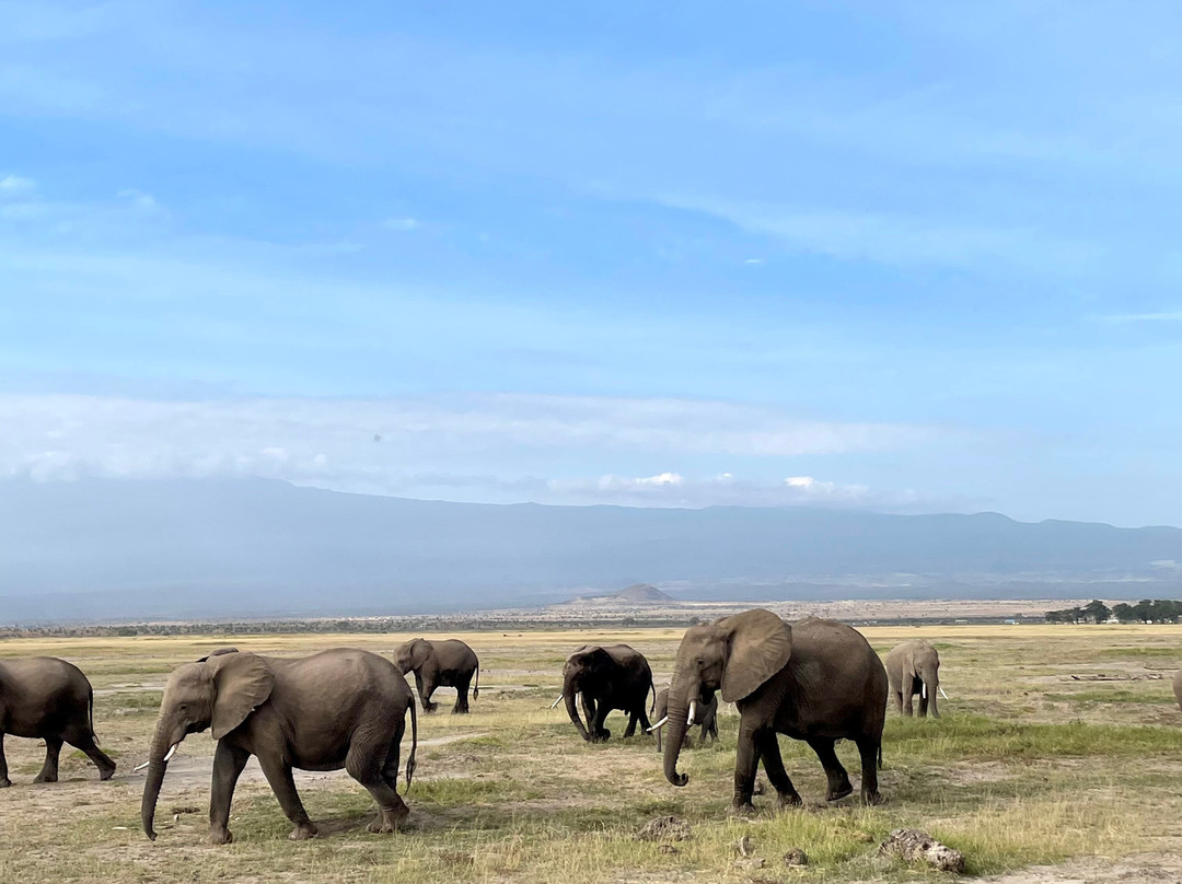 Marhaba Holidays-内罗毕必去景点