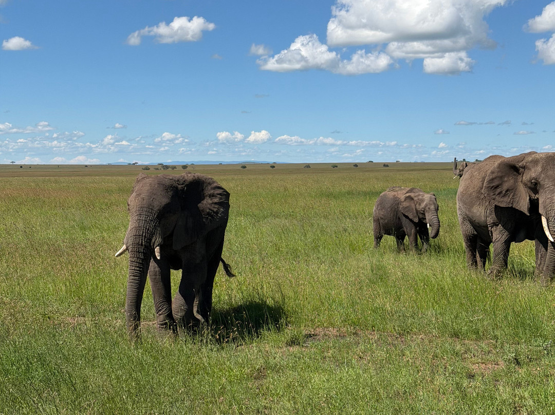 Sereland Africa Safaris-Sakina必去景点