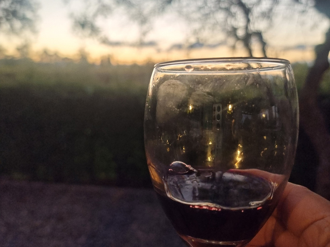 Bodega Labiano-圣拉斐尔必去景点