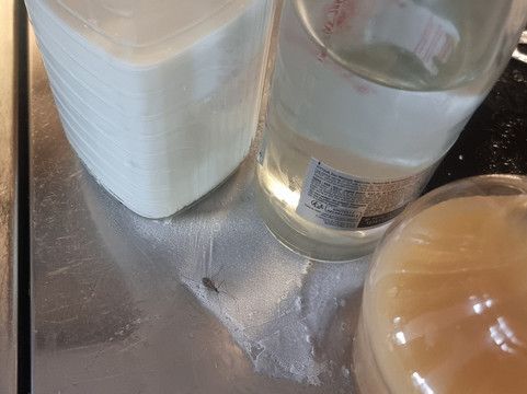 基里亚德酒店-玛戈斯主图