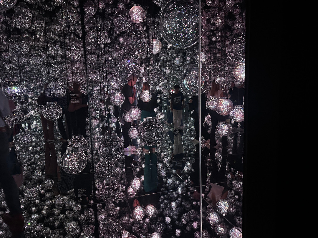 Teamlab Borderless Tokyo-港区必去景点