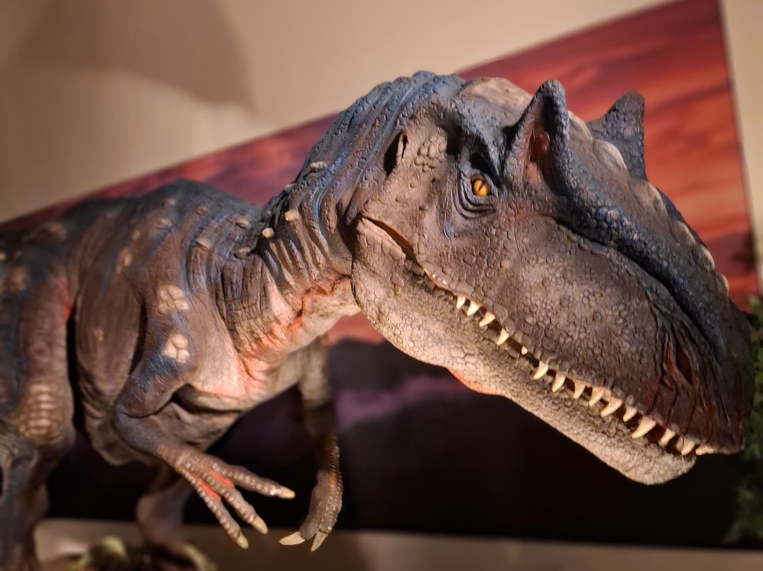 Science at Life-纽卡斯尔必去景点