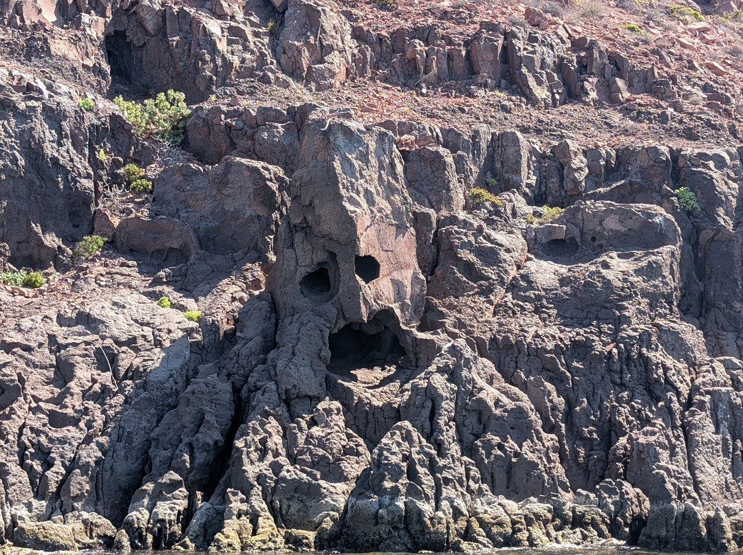 A day in baja-拉巴斯必去景点