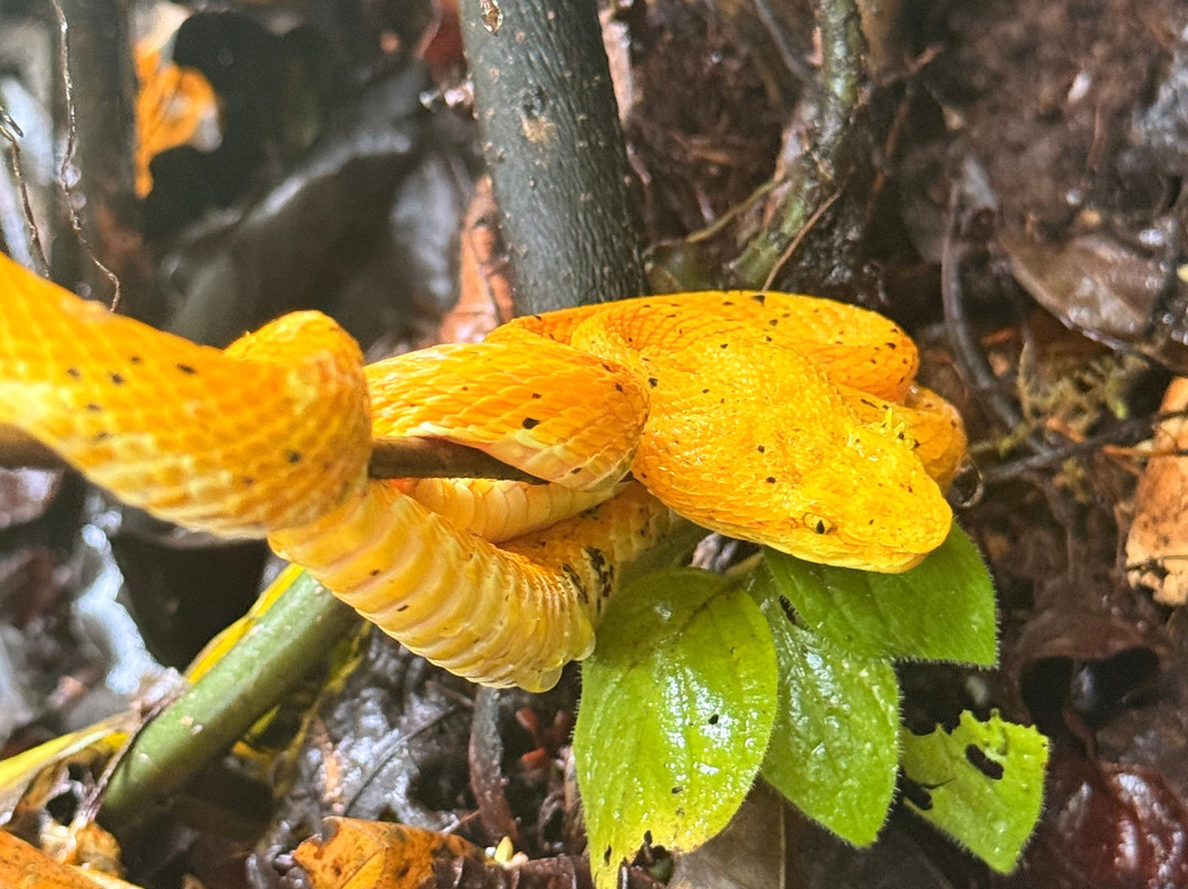 Sloths Paradise Rainforest-Bijagua de Upala必去景点