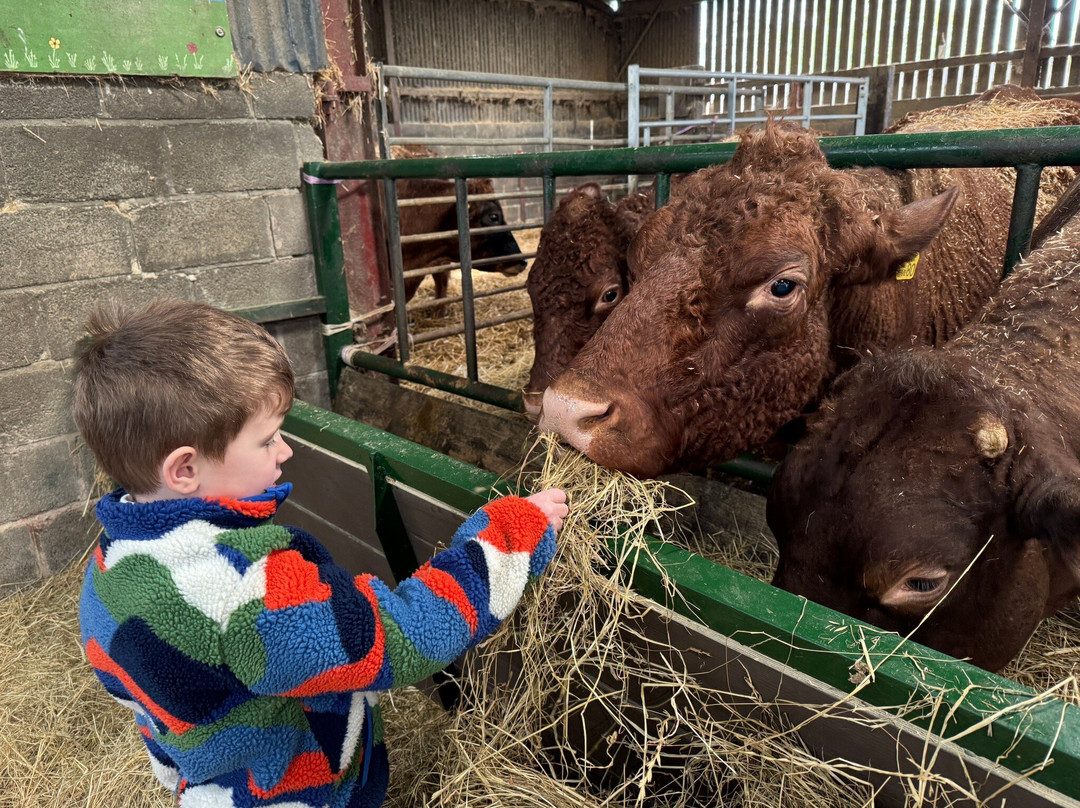 Court Farm Country Park-Banwell必去景点