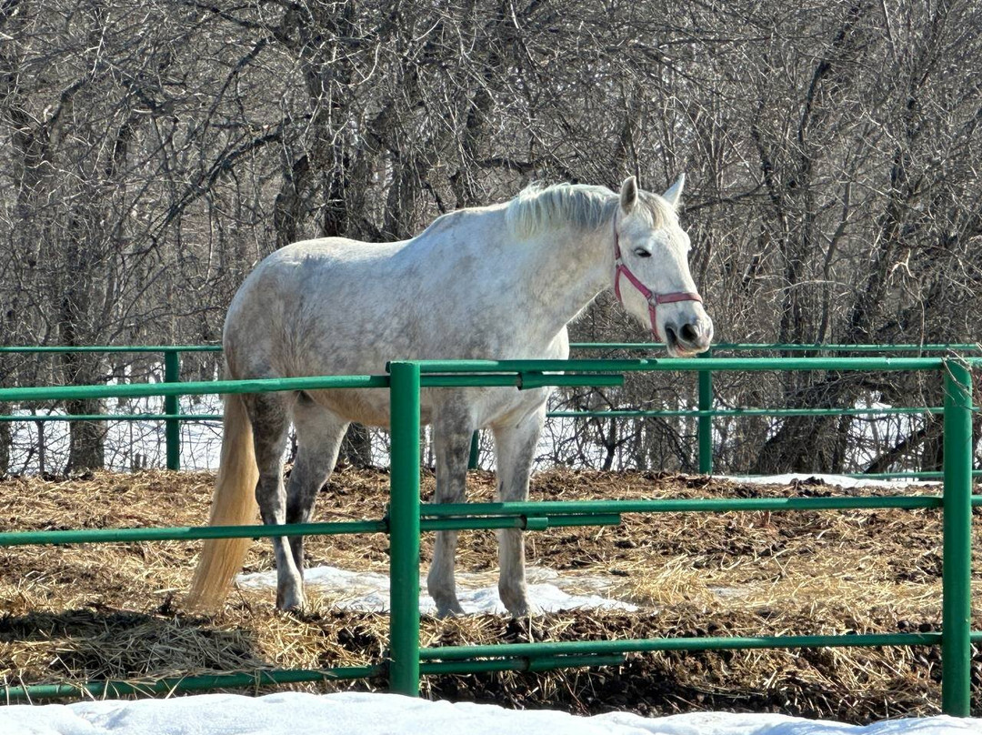 State Lermontov Museum-Lermontovo必去景点