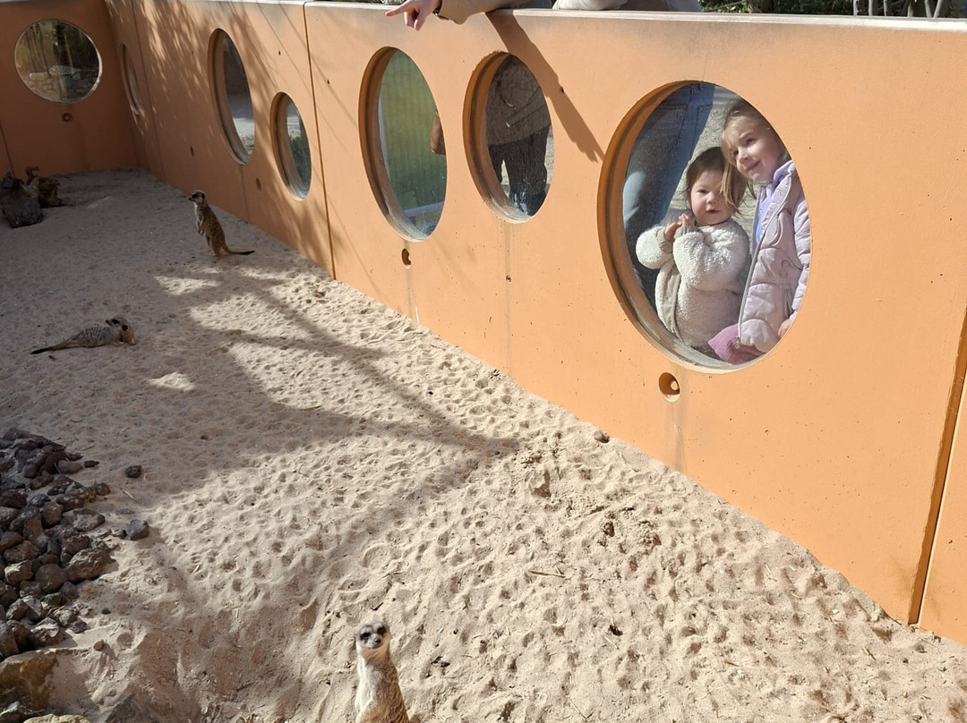 Jungle City-图尔奈必去景点