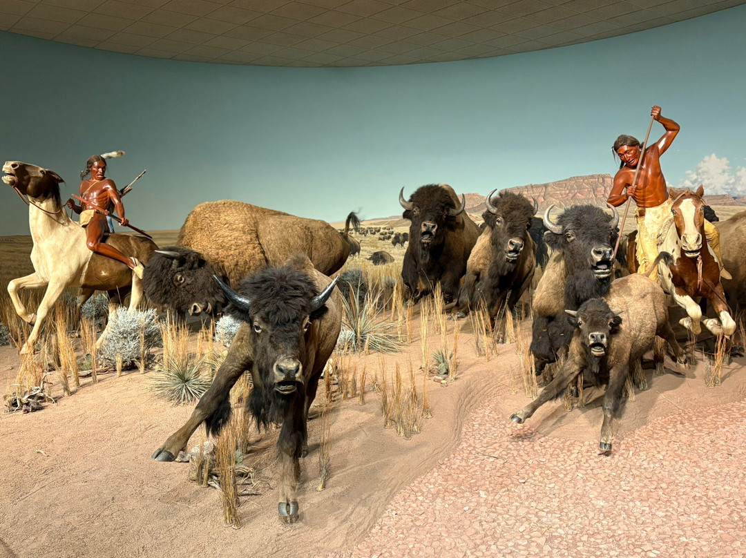 Milwaukee Public Museum-密尔沃基必去景点