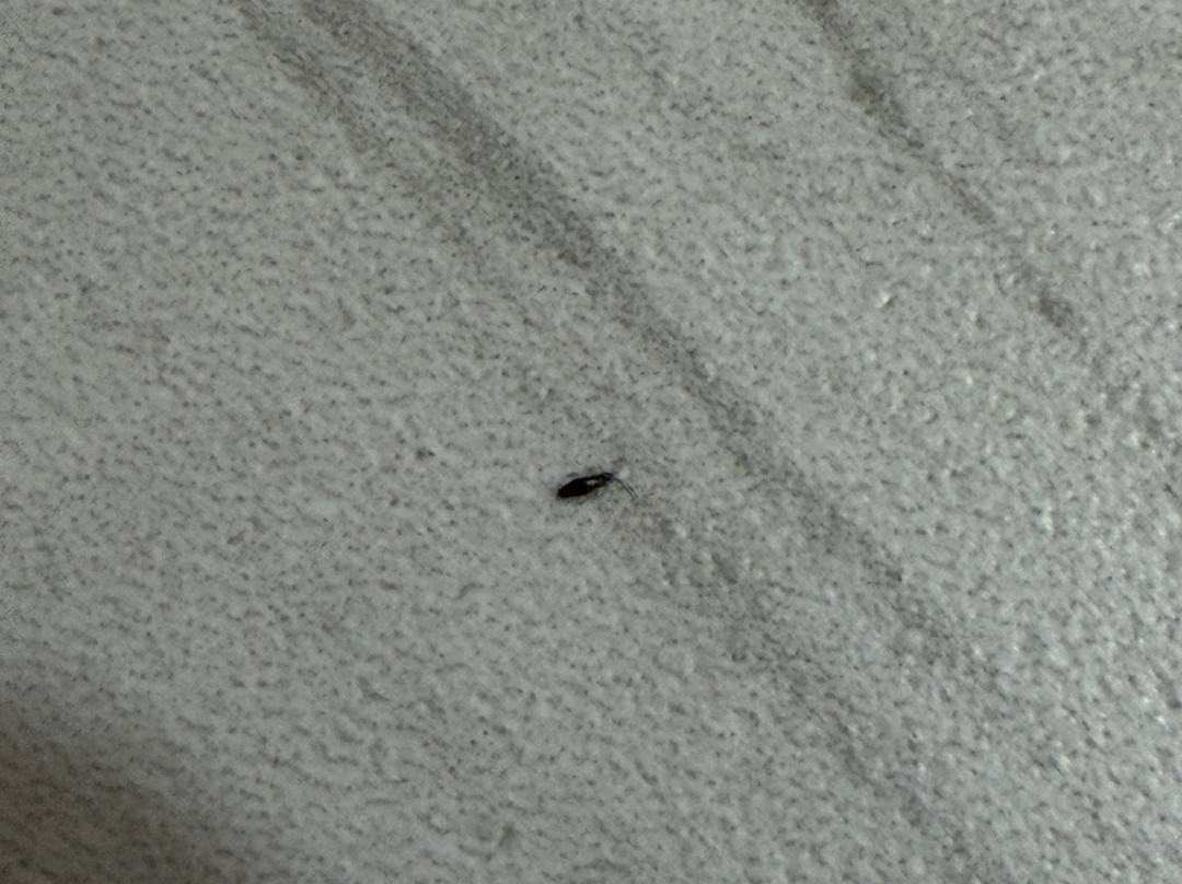 柴尔德雷斯西贝斯特韦斯特酒店主图