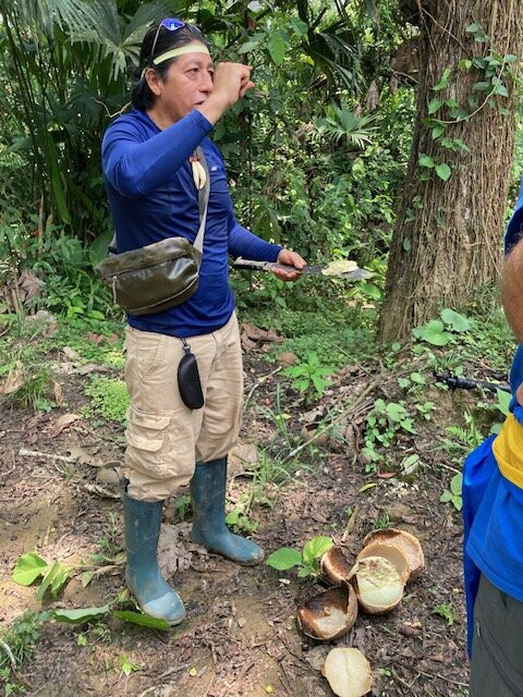 Akangau Jungle Tours-Tena必去景点