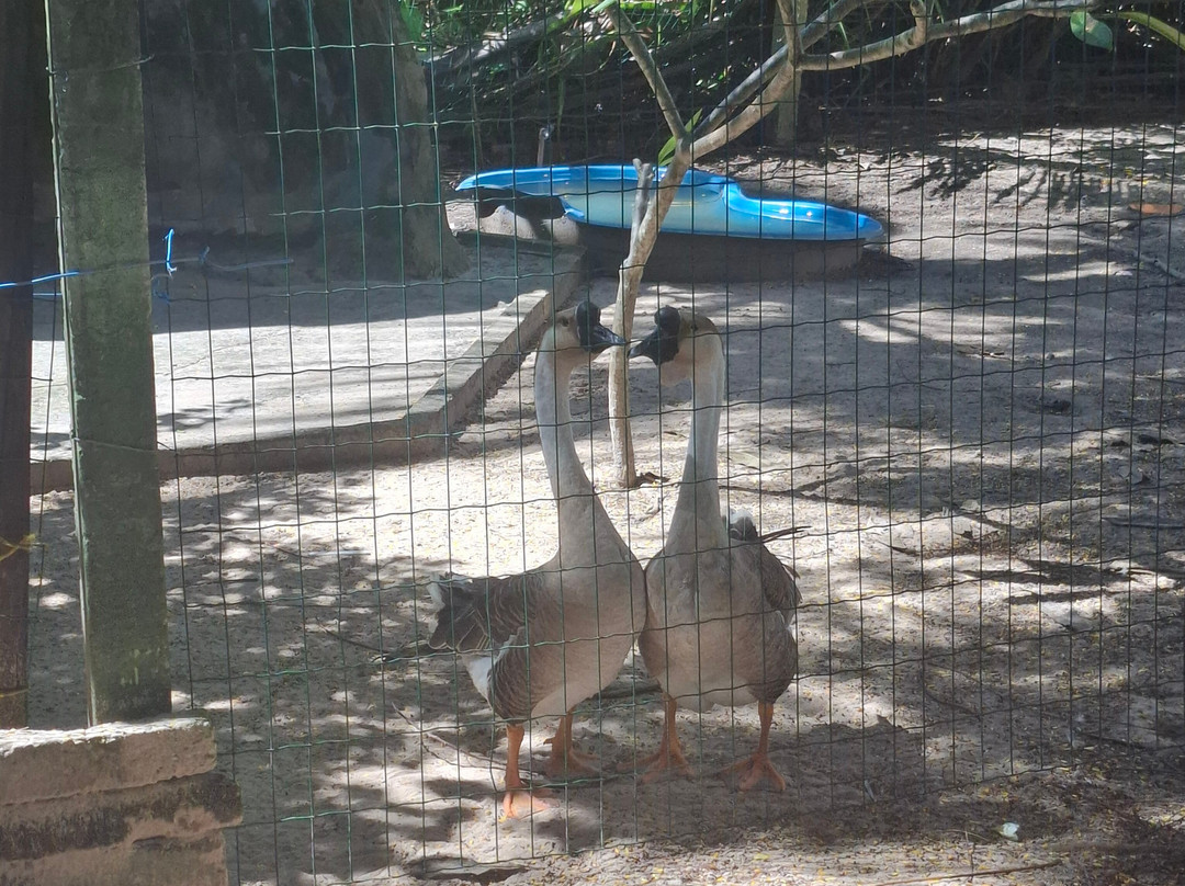 Fazendinha Parque Raposa-Raposa必去景点