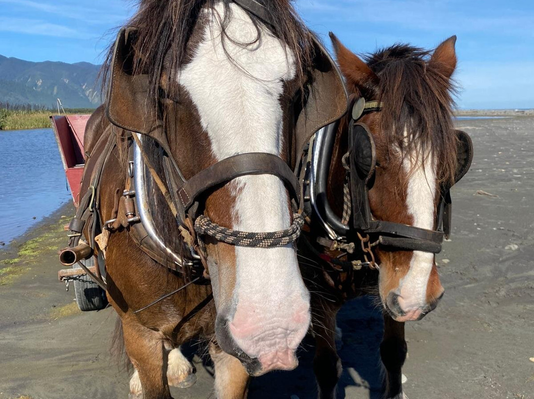 Golden Sands Horse and Wagon Tours-巴里镇必去景点