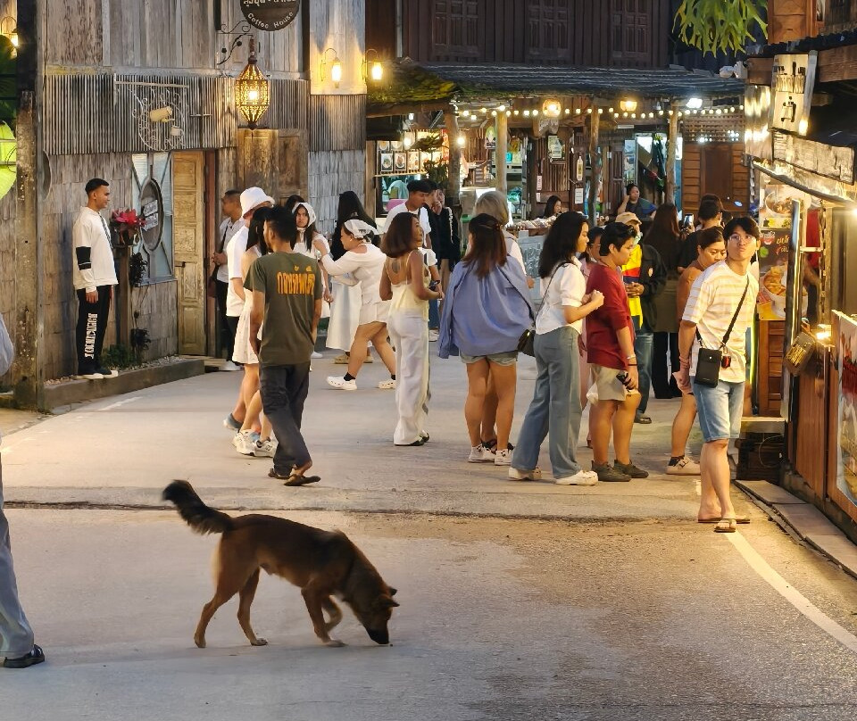 Mae Kampong Village-夜安必去景点