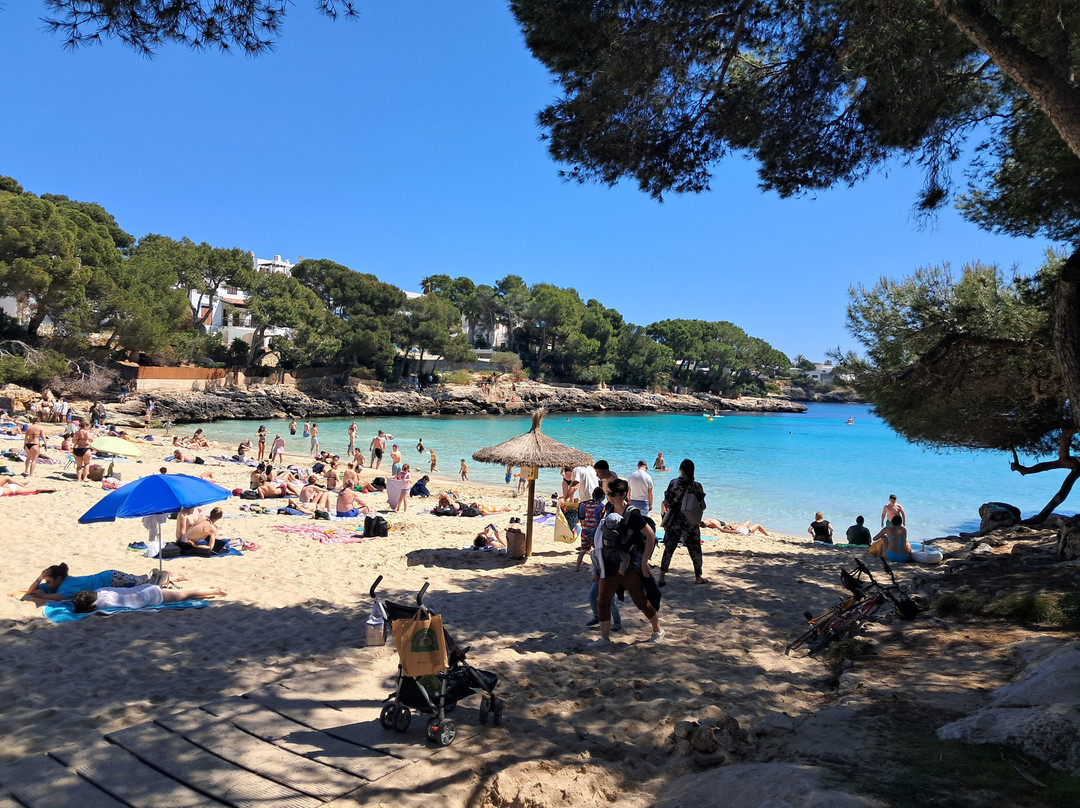 Playa Cala Gran-卡拉多尔必去景点