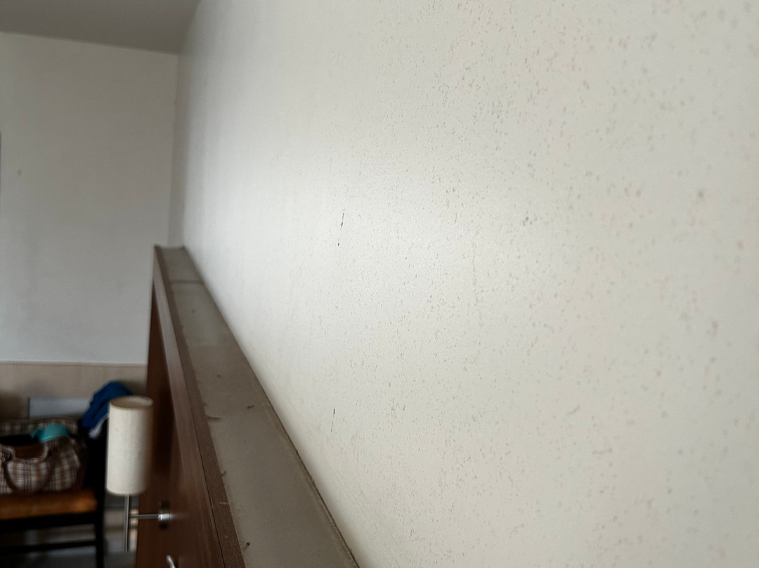 Hotel Sea Fans主图