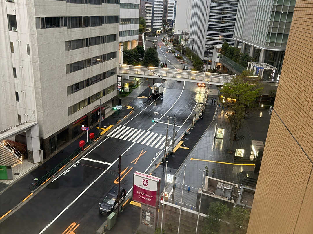 新宿灿路都广场大饭店主图