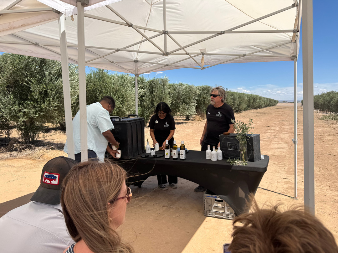 Queen Creek Olive Mill-Queen Creek必去景点