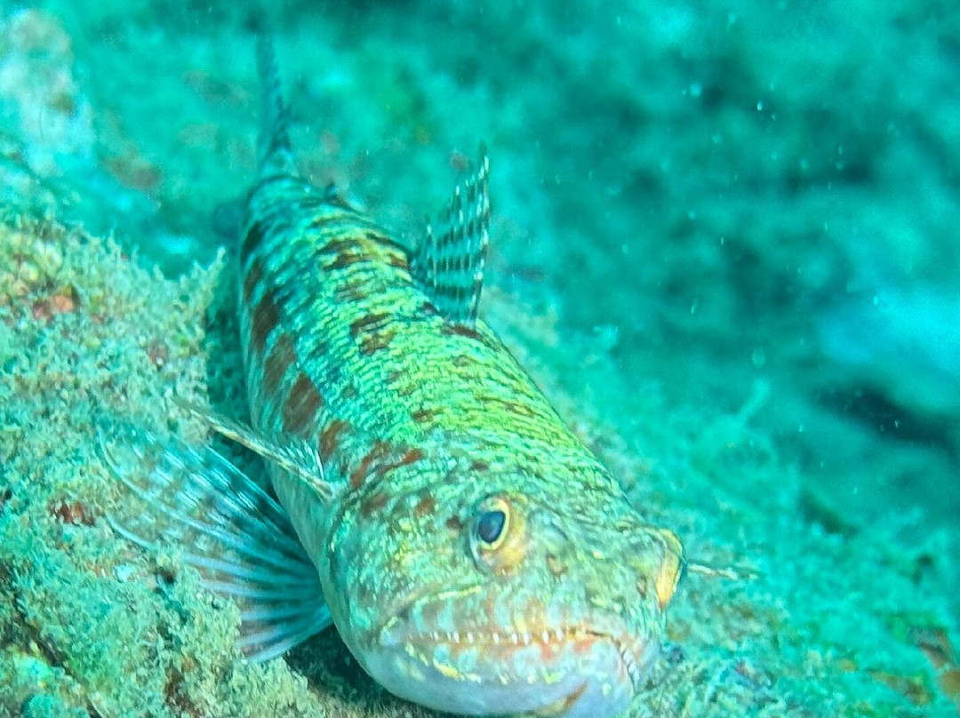 亚洲天堂浮潜-奈阳必去景点