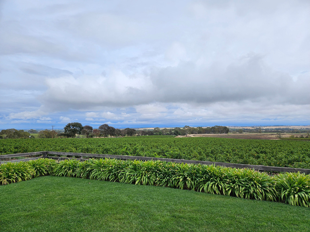 Small Batch Wine Tours-阿德莱德必去景点