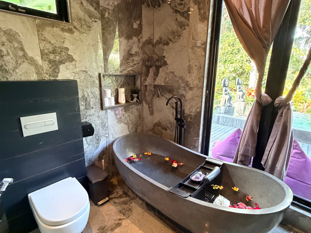 美丽蜻蜓酒店主图