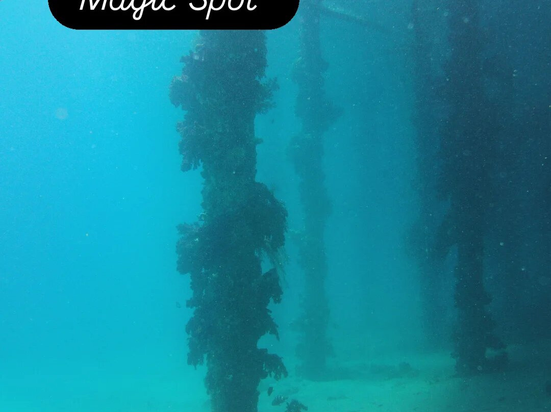 Orca Dive Club Safaga-Safaga必去景点