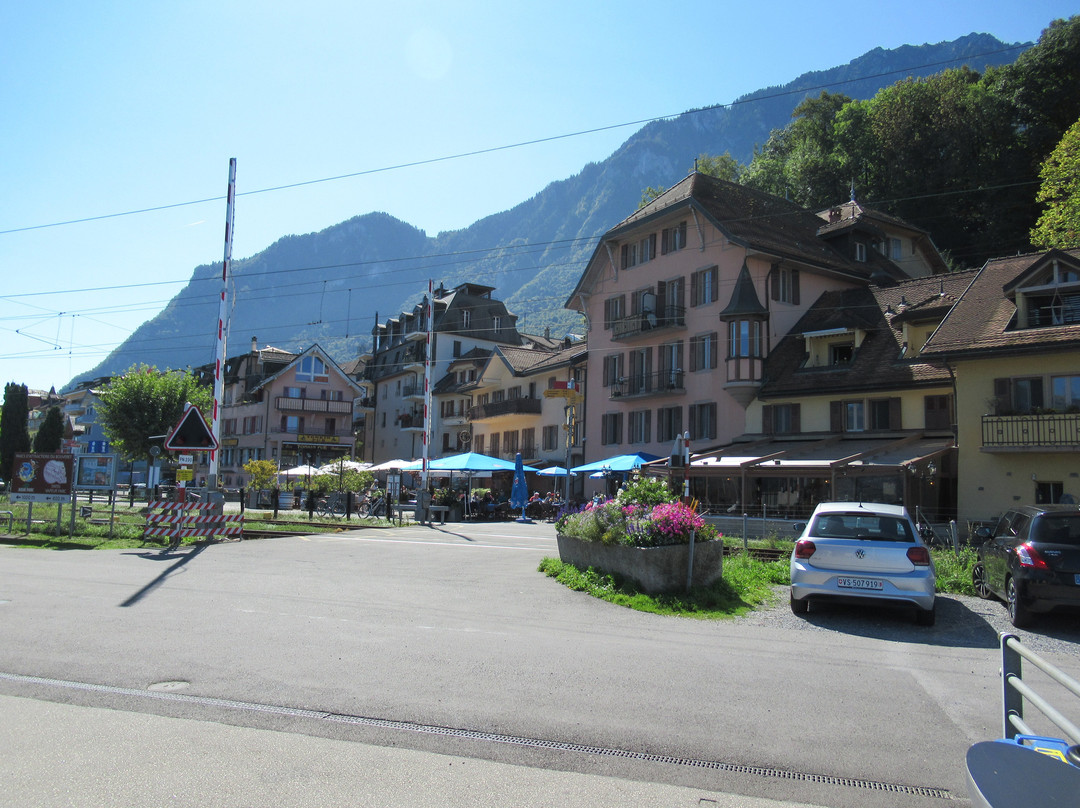 Lake Geneva Marine (Genfersee Schifffahrt)-蒙特勒必去景点