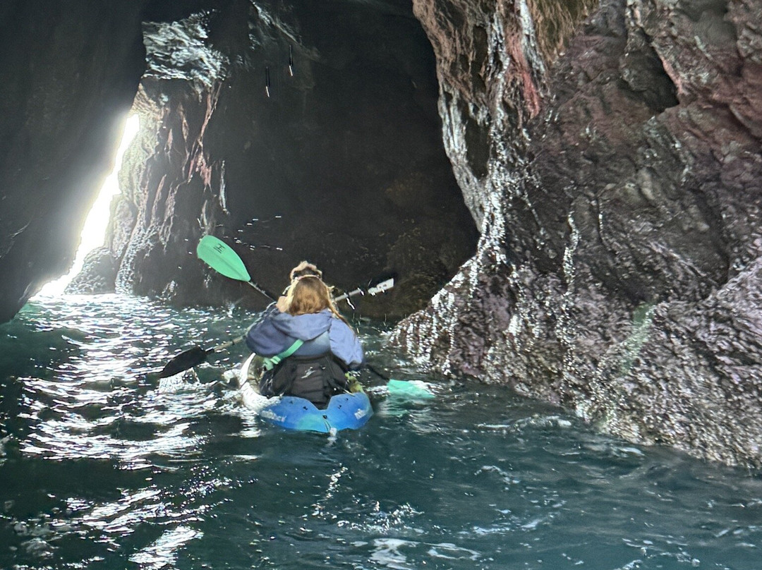 Kayak Mendocino-Little River必去景点
