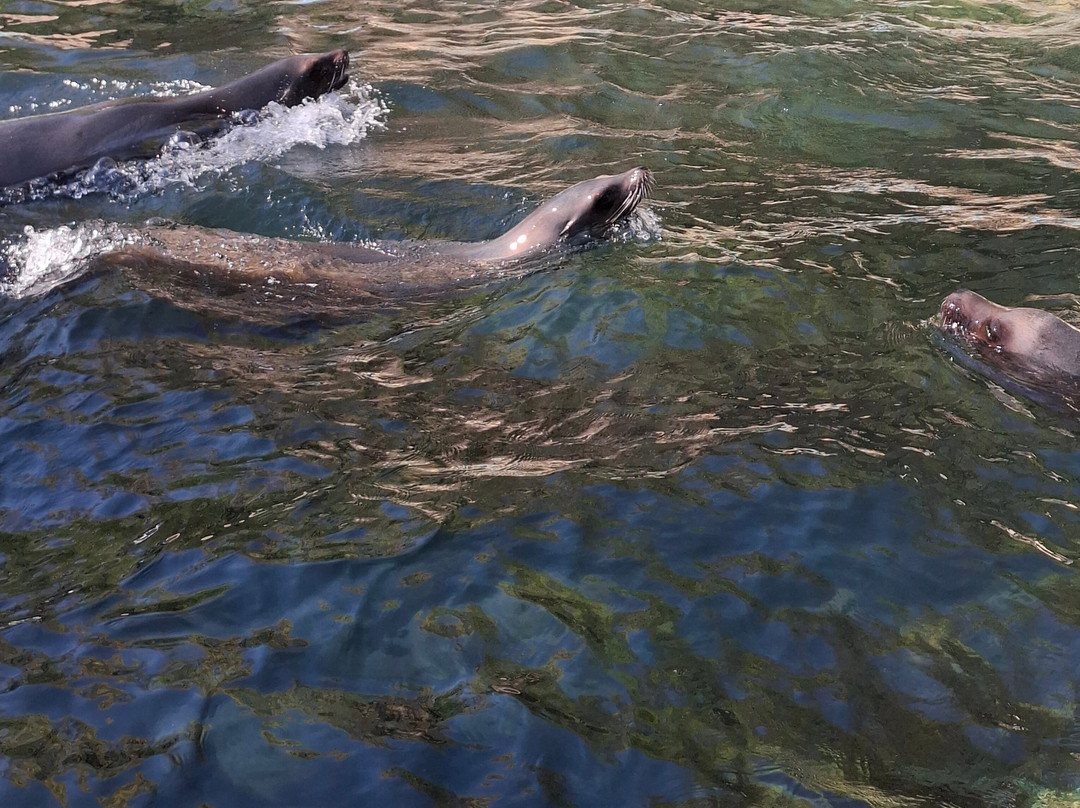 Zoo Duisburg-杜伊斯堡必去景点