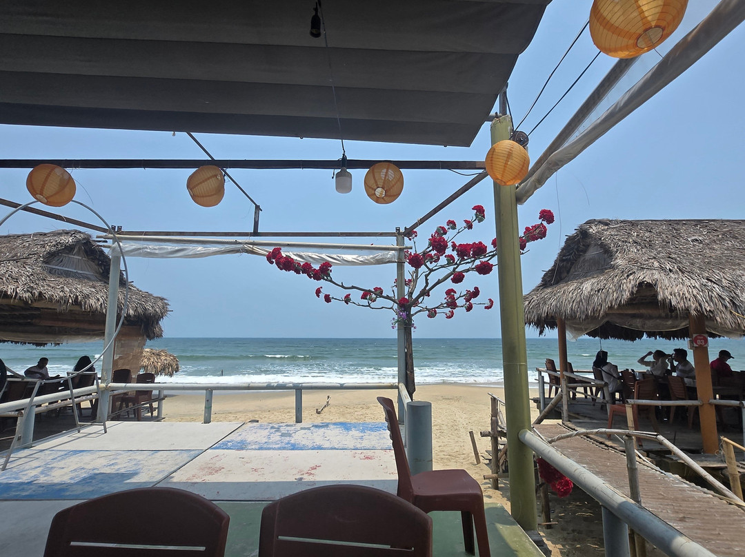 Easy Rider Hoian-会安必去景点