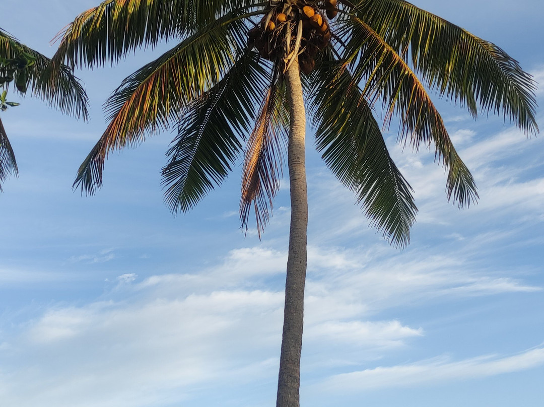 Kitesurf Tonga - Fanifo Lofa主图